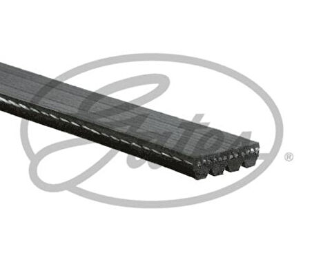 Gates 4PK1003 Kanallı Kayış Mazda Fiat Punto 1.6 90 8V 94 97 Ford Honda Mitsubishi Nissan Suzuki Jaguar 48364 MD363023