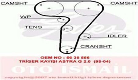 Gates 5429XS Eksantrik Kayışı 168x240 Brava Bravo Marea Punto 1.8 16V 95-Lancia Alfa Romeo Ct876 55210628