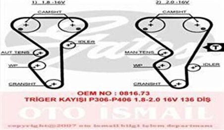 Gates 5468XS Eksantrik Kayışı 136x254 Xantia Xsara Zpeugeot 306 406 605 806 1.8 2.0 16V Lancia Ct954 3400151