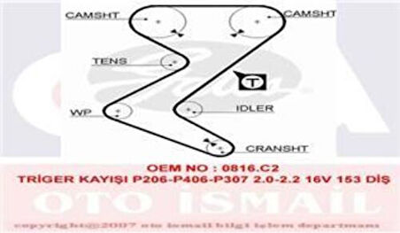 Gates 5528XS Triger Kayışı 153x254 Peugeot 206 307 406 407 607 C4 C5 C8Xsara1.8 2.0 2.2 Expert Fiat Ct1138 C 0816.F4