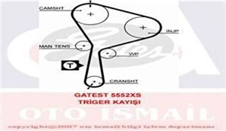 Gates 5552XS Eksantrik Kayışı 132x260 132 Diş Master Movano Vivaro Trafic 1.9 DCI Laguna 1.9 TDI 8V Ct1024 8200542740