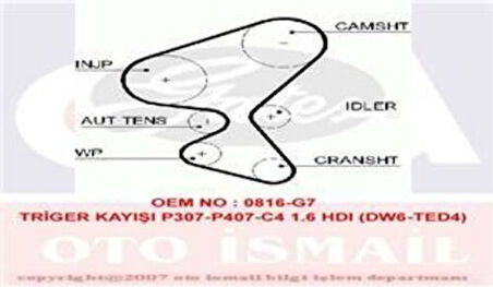 Gates 5598XS Triger Kayışı 137x254 Peugeot Partner Tepee 206 207 307 308 407 1.6HDI Ber C2 C3 C4 C5 Jumpy Ct1091 3M5Q6K288AA