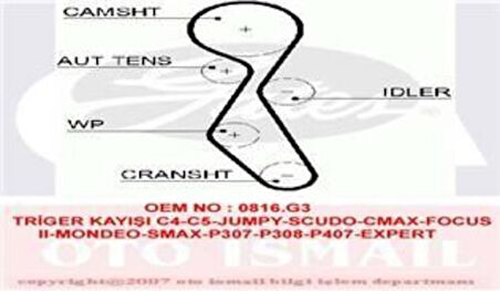Gates 5606XS Eksantrik Kayışı 116x254 C4 C5 Jumpy Scudo CMA Focus II Mondeo Smap307 308 P407 Expert 2.0 HDI 3M5Q6K288BA