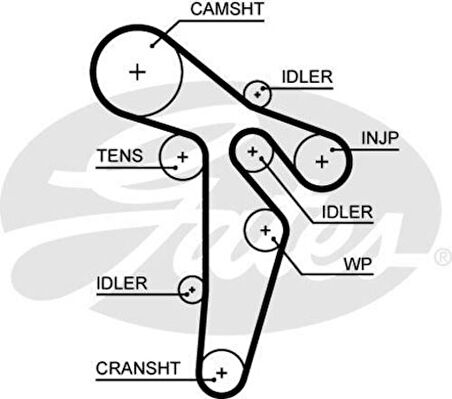Gates 5649XS Triger Kayışı Amarok Caddy III Golf VI Jetta IV Passat Polo Transporter V 1.6 2.0TDI 11- 03L109119C
