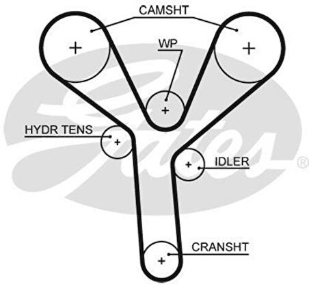 Gates 5660XS Triger Kayışı 197x200 Honda Accord 3.0 24V 03 08 Lagreat Legend Mr V Odyssey PIIot 3.5 24V 03 14400RCAA01