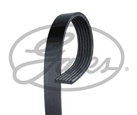 Gates 6PK925 Kanallı V Kayışı Galaxy 1.9 TDI 95-05 1039800