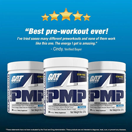 GAT PMP without STM Peak Muscle Performance Agmatine sulfate Nox Pump Preworkout