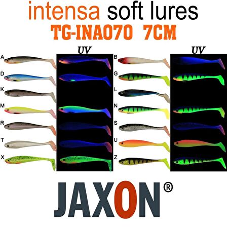 SİLİKON BALIK JAXON GUMMY INTENSA TG-INA070 7CM 5’Lİ PK RENK:T