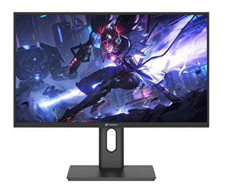 GameBooster 27 Ss IPS GB-2729FF 0.5ms 280HZ Hdmı-Dp Pıvot Gamıng Monitör