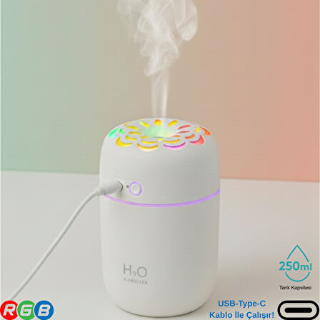250ML RGB Işıklı Süper Sessiz Type-C Mini Hava Nemlendirici & Aroma Difüzör