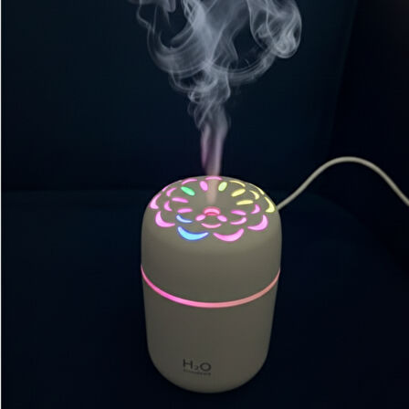 250ML RGB Işıklı Süper Sessiz Type-C Mini Hava Nemlendirici & Aroma Difüzör