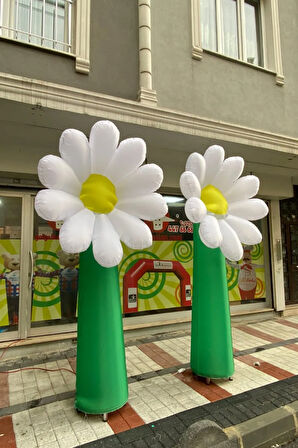 3 METRE PAPATYA DEKOR BALON