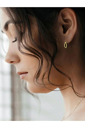 14 ayar altın Kalp küpe 0.6 gr, GC17677 Kodlu