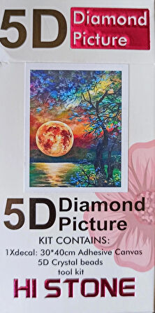 Boncuklu Goblen 5d Taşlı Mozaik Elmas Goblen Diamond Picture Kıt 30x40 Tamamı Yuvarlak Boncuklu