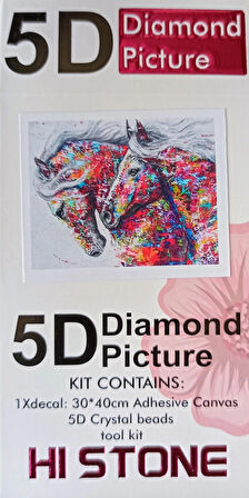 Boncuklu Goblen 5d Taşlı Mozaik Elmas Goblen Diamond Picture Kıt 30x40 Tamamı Yuvarlak Boncuklu