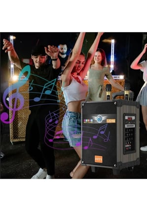 VALİZ TİPİ HOPARLÖR ÇİFT KABLOSUZ MİKROFONLU ŞARJLI TAŞINABİLİR BLUETOOTH SPEAKER SES BOMBASI