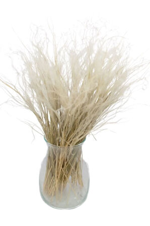 Stipa Otu Doğal Şoklanmış Kuru Ot Demeti Naturel Stipa 10-15 Dal 30-35Cm