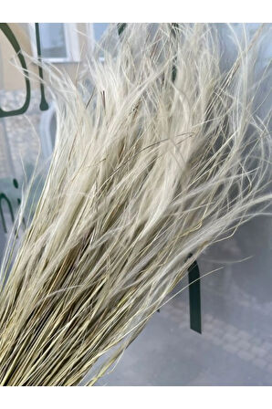 Stipa Otu Doğal Şoklanmış Kuru Ot Demeti Naturel Stipa 10-15 Dal 30-35Cm