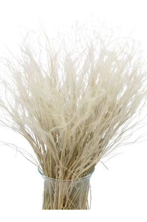 Stipa Otu Doğal Şoklanmış Kuru Ot Demeti Naturel Stipa 10-15 Dal 30-35Cm