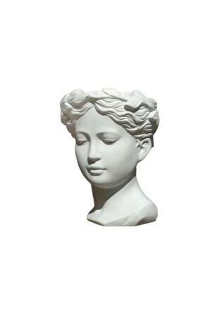 Öğretmenler Gününe Özel Pembe Milii Dikenler Tacı Çiçeği Helen Saksı Hediyeli