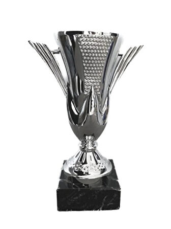 AYYILDIZ BAYRAKÇILIK Ödül Kupası Kulplu Gri 20cm.