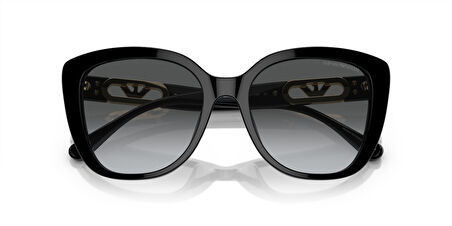 EMPORIO ARMANI 4214U 5017854 Güneş Gözlüğü