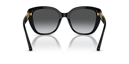 EMPORIO ARMANI 4214U 5017854 Güneş Gözlüğü