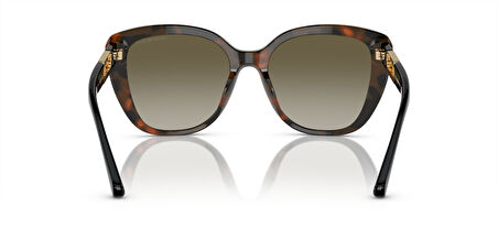 EMPORIO ARMANI 4214U 60608E 54 Güneş Gözlüğü