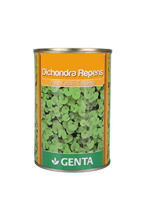 Dichondra Repens Fare Kulağı Kundura Çimi Tohumu 250 gr