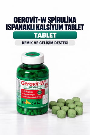 Gerovit-w Ispanaklı Kalsiyum Enerji ve Yavru Gelişim Tableti 500 adet