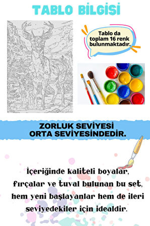 Sayılarla Boyama Çerçeveli Hobi Seti Numaralı Tuval Fırça Boya Dahil Kasnaklı GEYİK 40X50 Cm