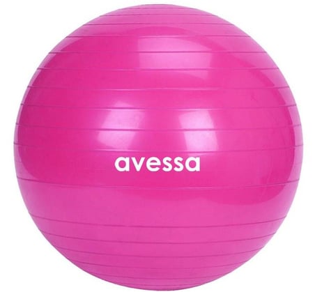 Özel Seri Ev Egzersizi Aktif Yaşam Stretching 65 cm Poşetli Plates Topu Pompasız Pembe PLT-65 Pink