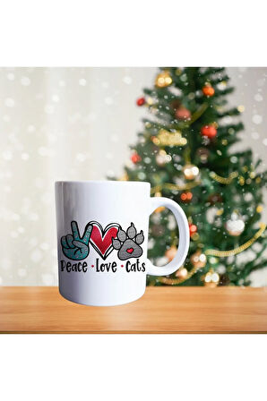 Camdaki Kedi Porselen Kupa