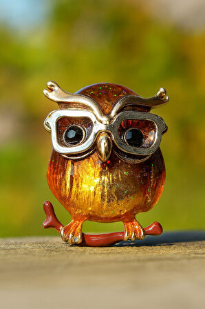 Altın Yansımalı Amber Taşlı Gözlüklü Baykuş Formunda Zarif Çelik Broş