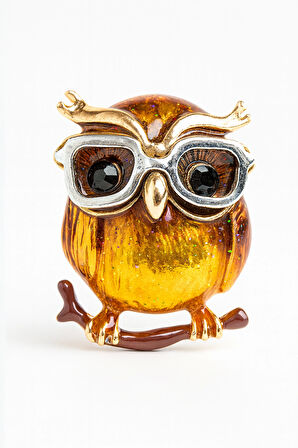 Altın Yansımalı Amber Taşlı Gözlüklü Baykuş Formunda Zarif Çelik Broş