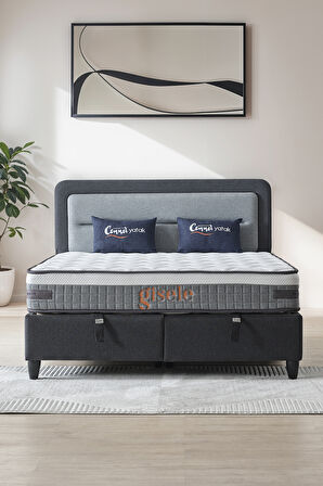 Gisela Modeli Full Ortopedik Çift Kişilik Pedli Yataklı Baza ve Başlık Takımı 3 lü Set