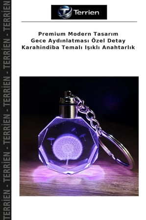 Premium Modern Tasarım Gece Aydınlatması Özel Detay Karahindiba Temalı Işıklı Anahtarlık