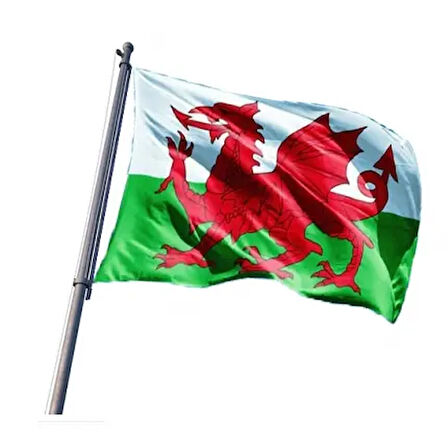 Galler Bayrağı 100x150 cm