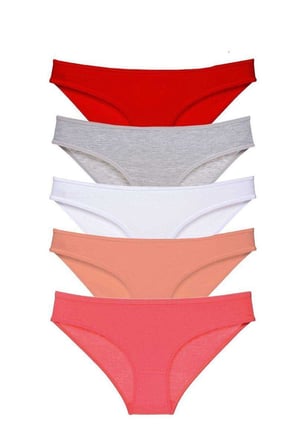 Adet Süper Eko Set Likralı Kadın Slip Külot  Mudanis
