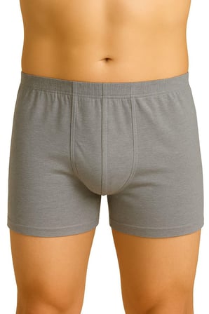 Gri   Arjantin Erkek Boxer