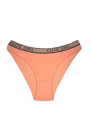 Adet Beli Yazılı Pamuklu Kalın Lastik Kadın Slip Külot