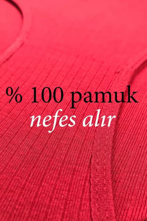 Adet Kadın Yüksek Bel Ribana Bato Külot S