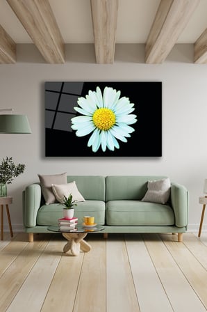 Dekoratif Duvar Tablosu Temperli Cam Tablo 36x23 cm