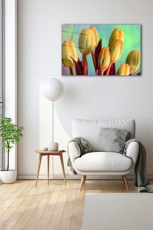Dekoratif Duvar Tablosu Temperli Cam Tablo 36x23 cm