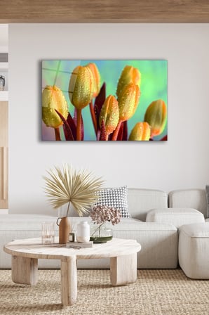 Dekoratif Duvar Tablosu Temperli Cam Tablo 36x23 cm