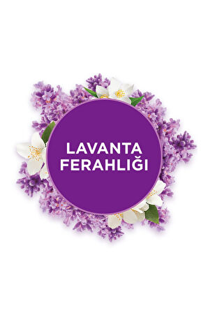 Banyo Hava Tazeleyici Lavanta Ferahlığı Yedek 10 Ml X 2 Adet (60 Gün Etkili)