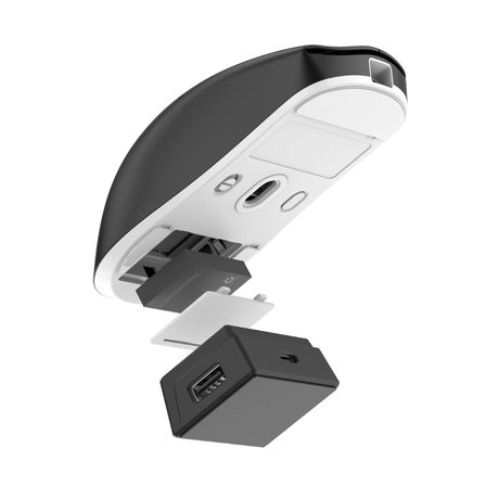 Hydra Pro 38.000 Dpi PAW 3395 Değiştirilebilir Batarya & PTFE Gaming Mouse (2.4Ghz + BT + Type-C)