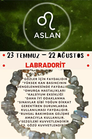 Sertifikalı Burç Taşı Aslan Burcu Labradorit Taşı Bileklik