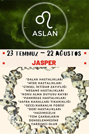 Sertifikalı Burç Taşı Aslan Burcu Jasper Taşı Bileklik