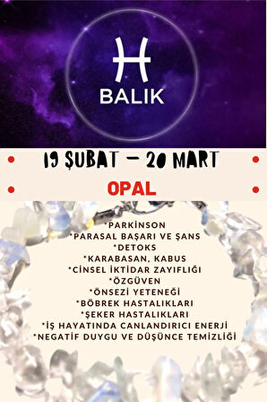 Sertifikalı Burç Taşı Balık Burcu Opal Taşı Bileklik
